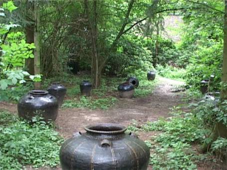 Museum Insel Hombroich : Parklandschaft